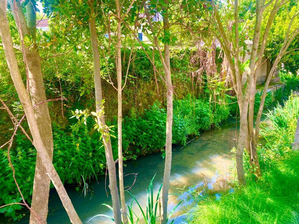 Appartamento Domaine D'Ella Jourre Canet  Esterno foto